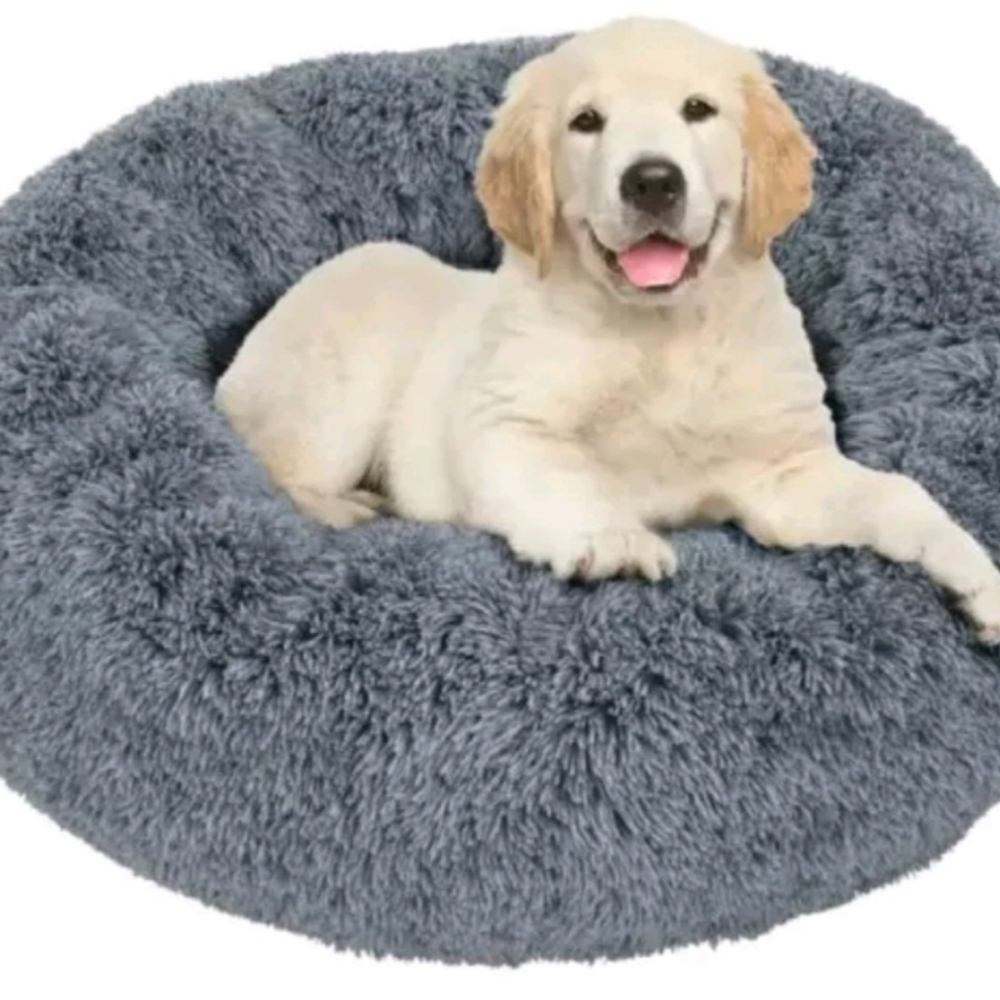 Pet bed